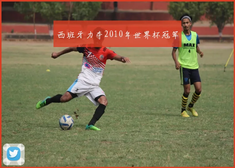 西班牙力夺2010年世界杯冠军