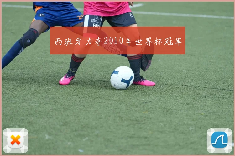 西班牙力夺2010年世界杯冠军