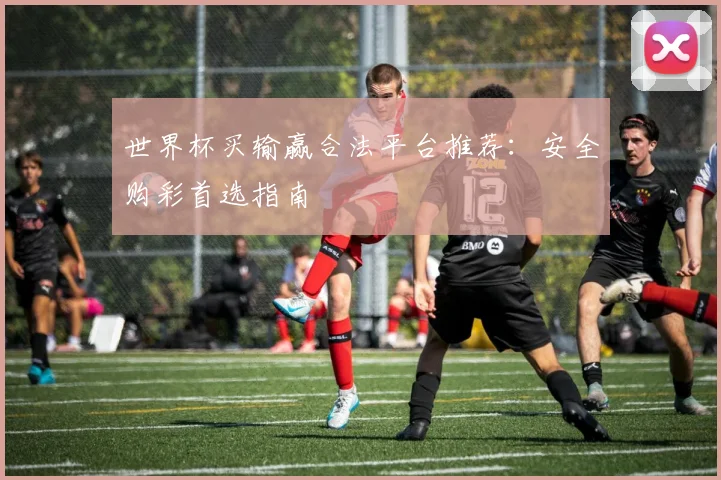 世界杯买输赢合法平台推荐：安全购彩首选指南