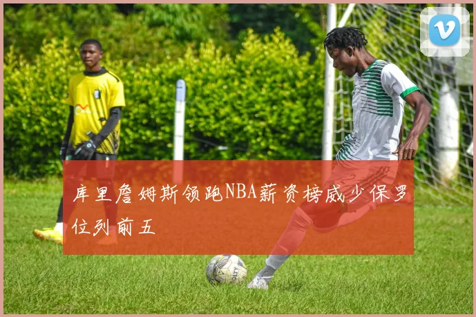 库里詹姆斯领跑NBA薪资榜威少保罗位列前五