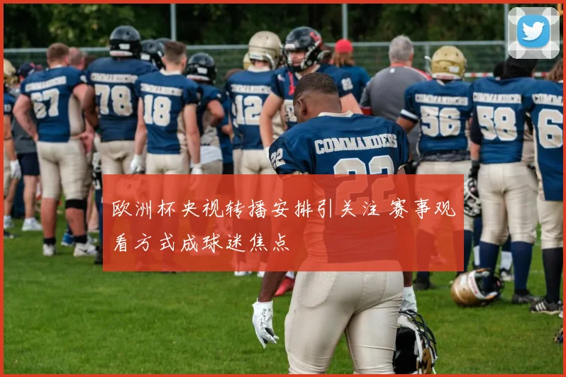 欧洲杯央视转播安排引关注 赛事观看方式成球迷焦点
