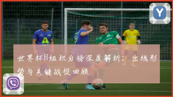 世界杯H组积分榜深度解析：出线形势与关键战役回顾