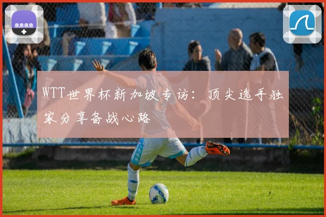 WTT世界杯新加坡专访:顶尖选手独家分享备战心路