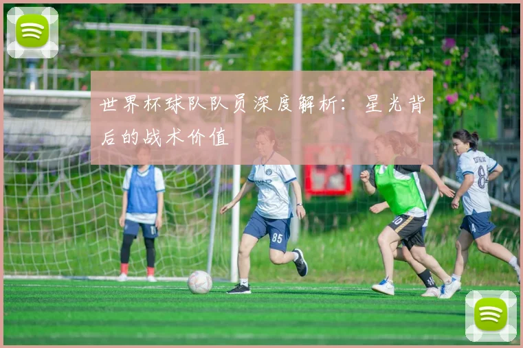 世界杯球队队员深度解析：星光背后的战术价值