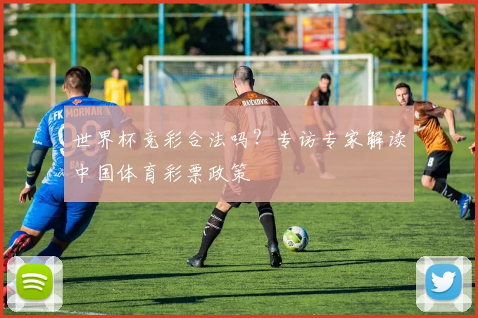 世界杯竞彩合法吗?专访专家解读中国体育彩票政策
