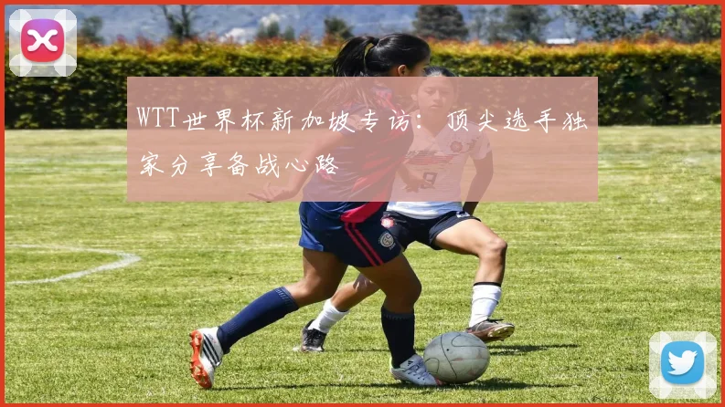 WTT世界杯新加坡专访:顶尖选手独家分享备战心路