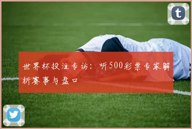 世界杯投注专访：听500彩票专家解析赛事与盘口