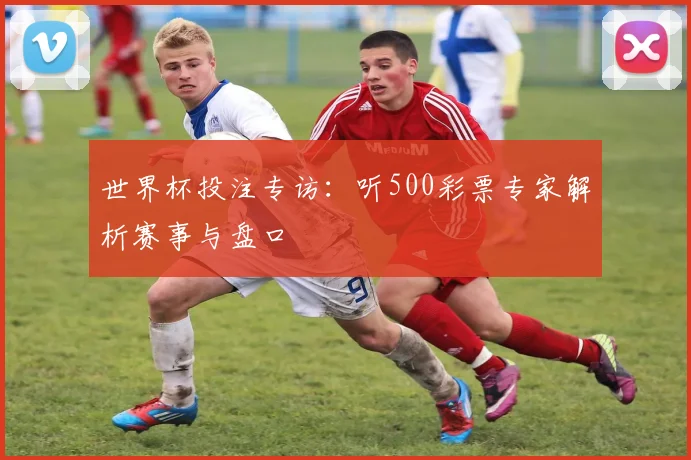 世界杯投注专访：听500彩票专家解析赛事与盘口